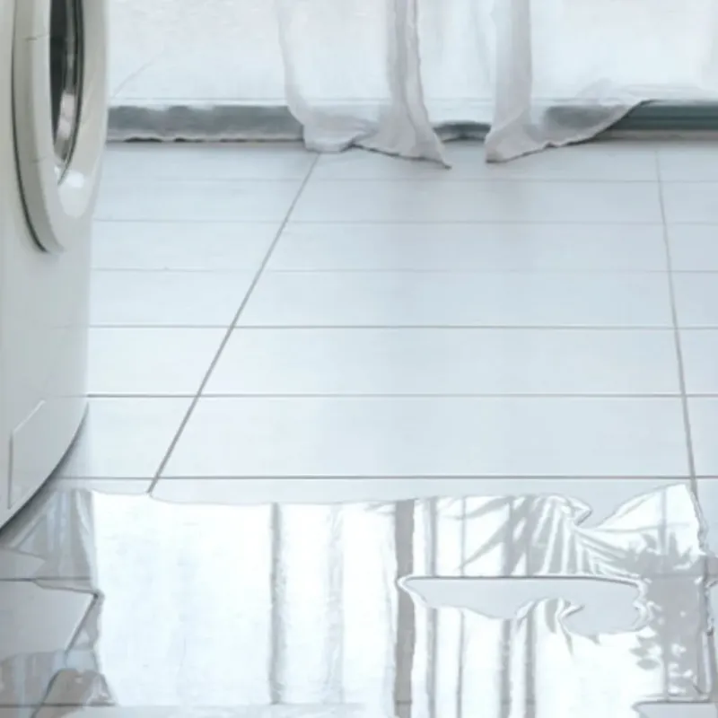 Appliance Leak Cleanup in Brentwood, MD